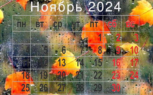 november-2024