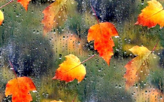calendar-november-2026
