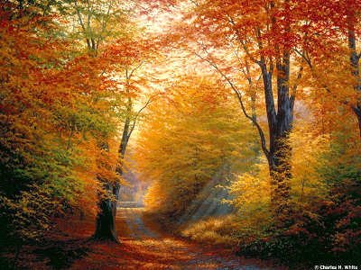 calendar-october-2026